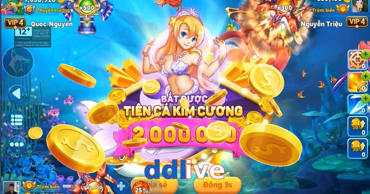 ddlive